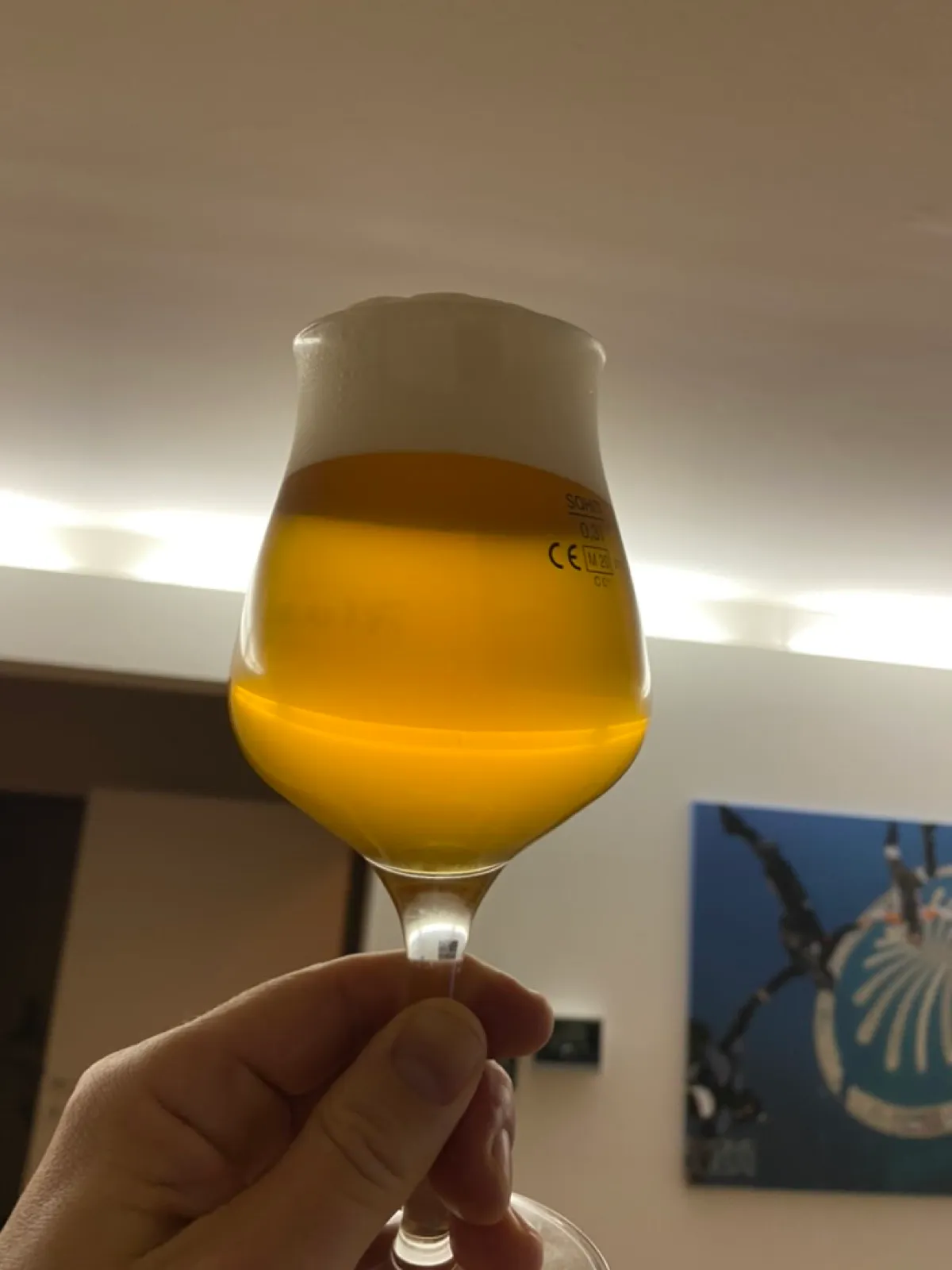 Fresh hazy IPA in a tasting glass